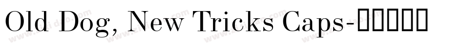 Old Dog, New Tricks Caps字体转换